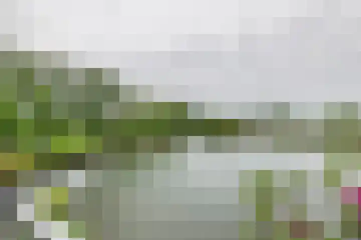 Heuvel 153 Druten thumbnail 14