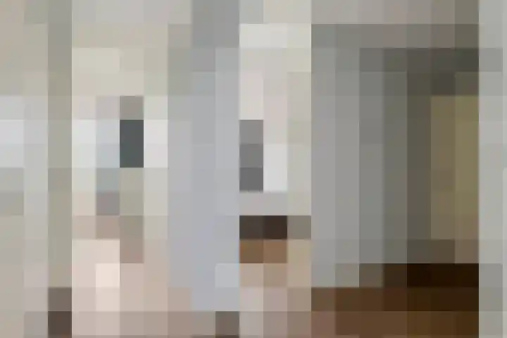 Heuvel 153 Druten thumbnail 18