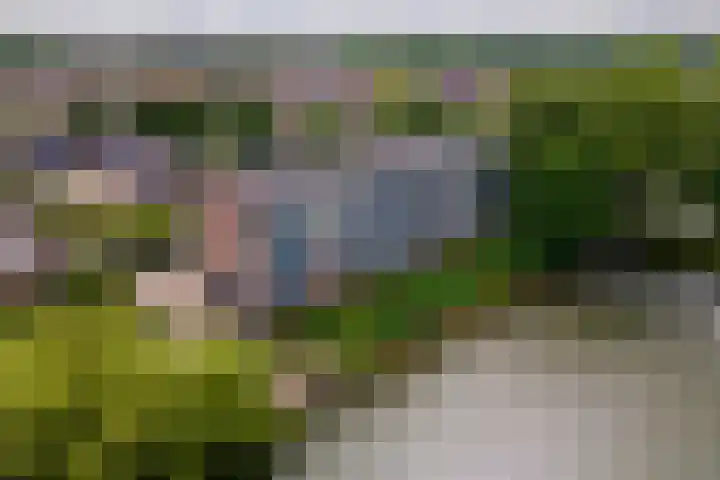 Heuvel 153 Druten thumbnail 29