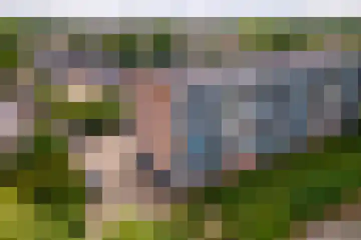 Heuvel 153 Druten thumbnail 30
