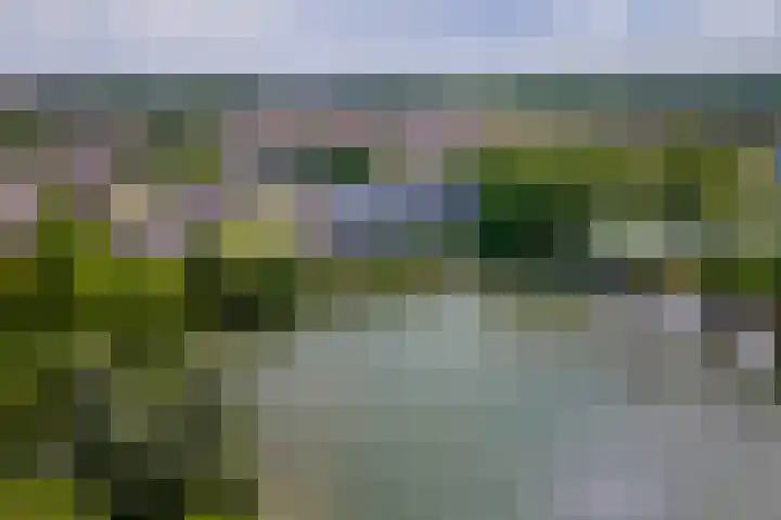 Heuvel 153 Druten thumbnail 31