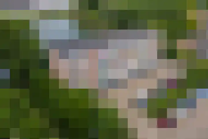 Heuvel 153 Druten thumbnail 32