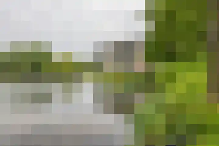 Heuvel 153 Druten thumbnail 33