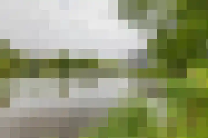 Heuvel 153 Druten thumbnail 34