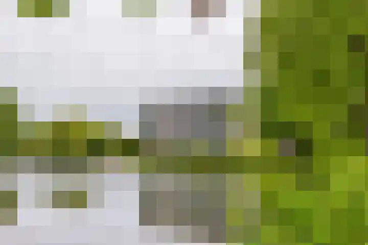 Heuvel 153 Druten thumbnail 37