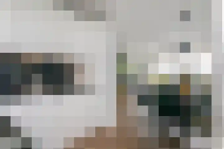 Heuvel 153 Druten thumbnail 6