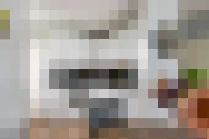Heuvel 153 Druten thumbnail 7