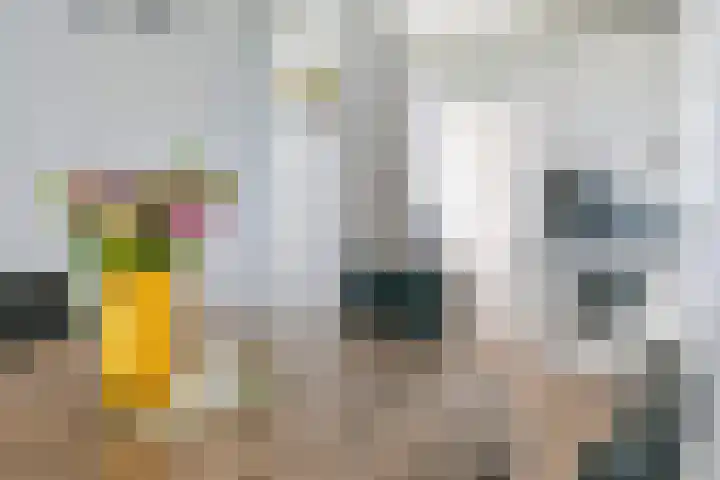 Heuvel 153 Druten thumbnail 8