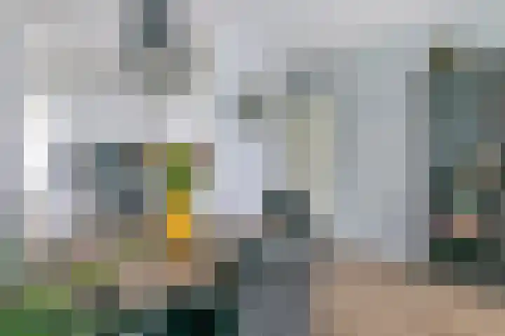 Heuvel 153 Druten thumbnail 9