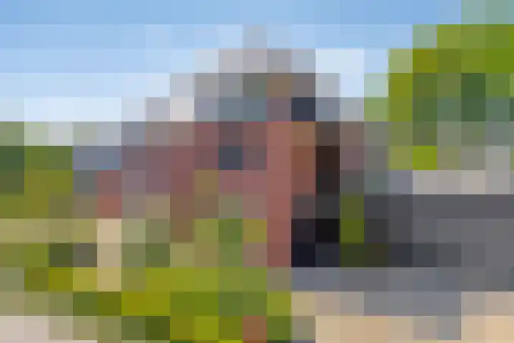Heuvel 17 Vorstenbosch thumbnail 55