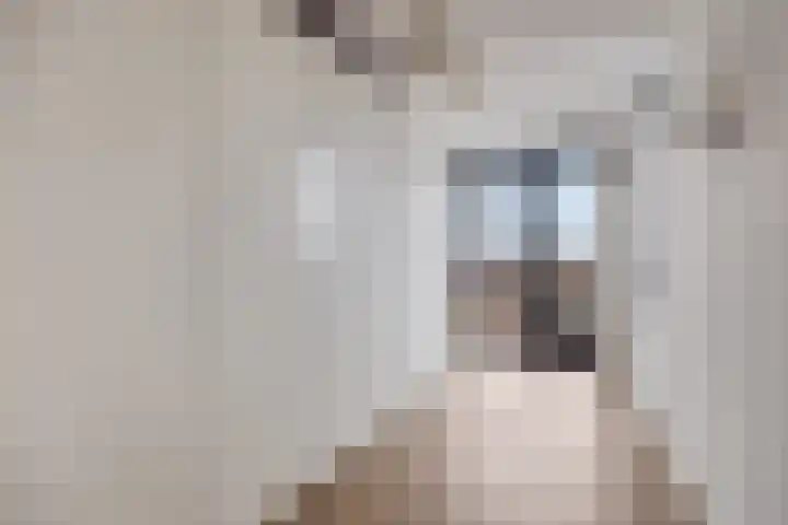 Heuvel 18 C Geldrop thumbnail 16