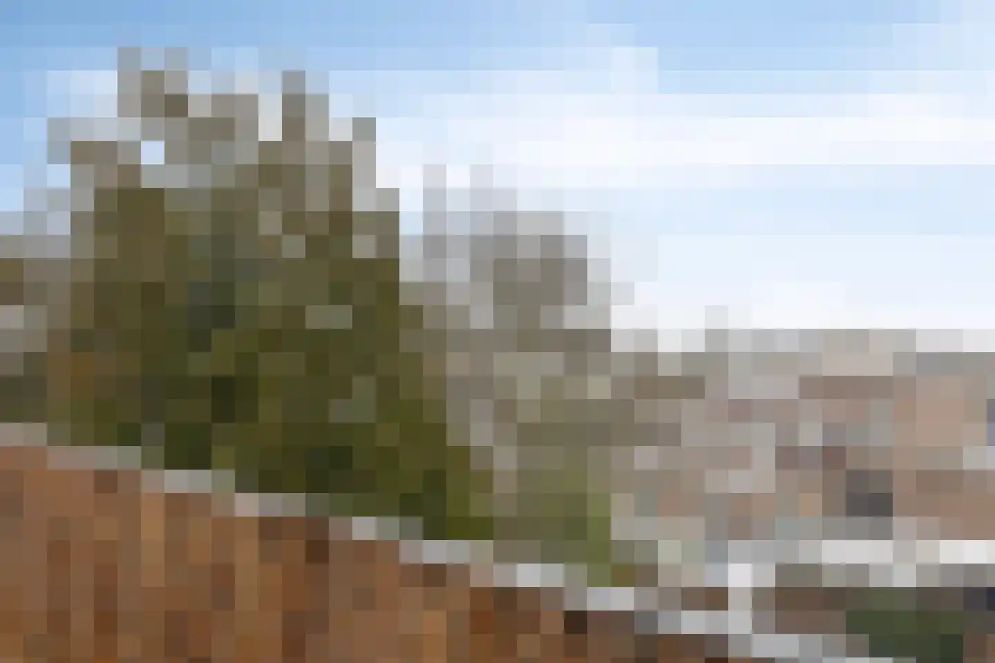 Heuvel 18 C Geldrop thumbnail 17