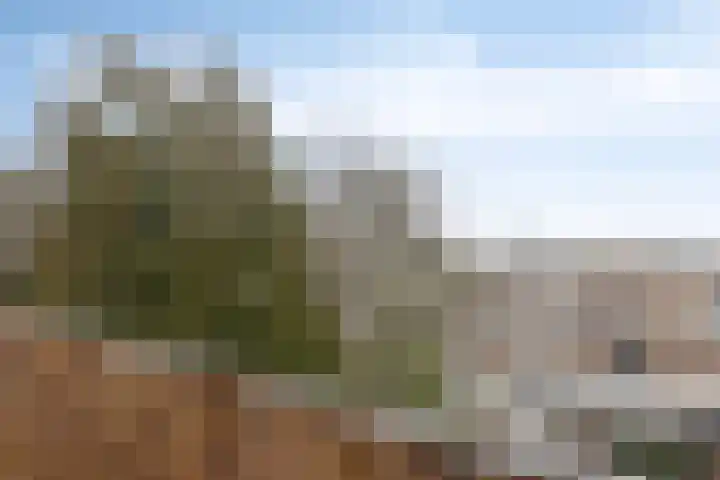 Heuvel 18 C Geldrop thumbnail 22