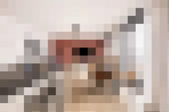 Heuvel 18 C Geldrop thumbnail 9