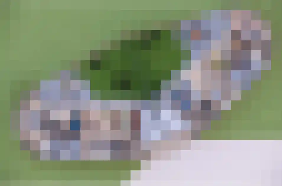 Heuvel 18 Roermond thumbnail 12