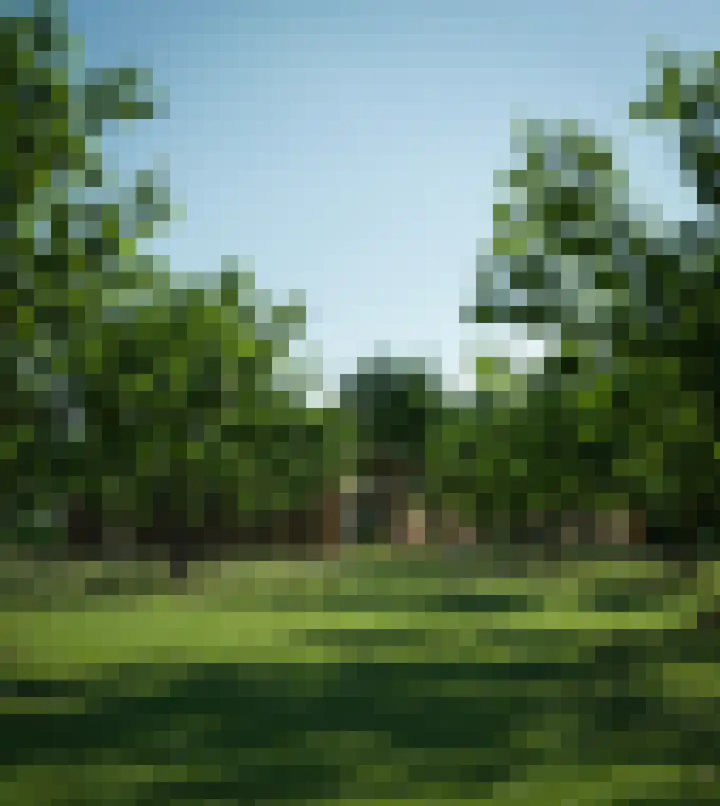 Heuvel 20 Roermond thumbnail 10