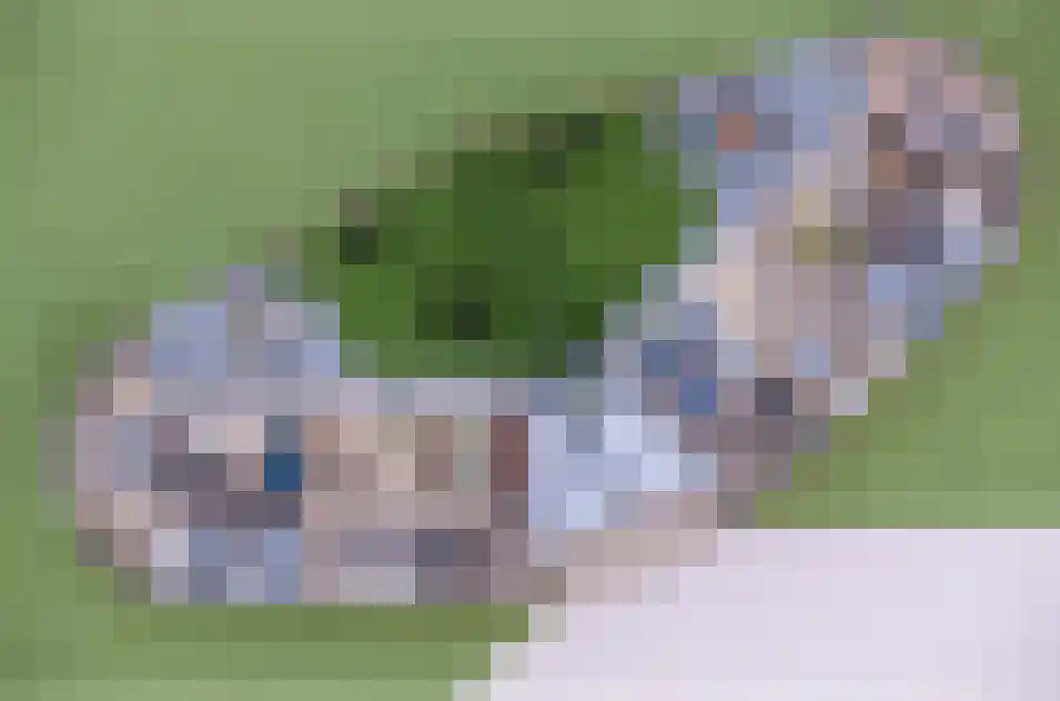 Heuvel 20 Roermond thumbnail 12