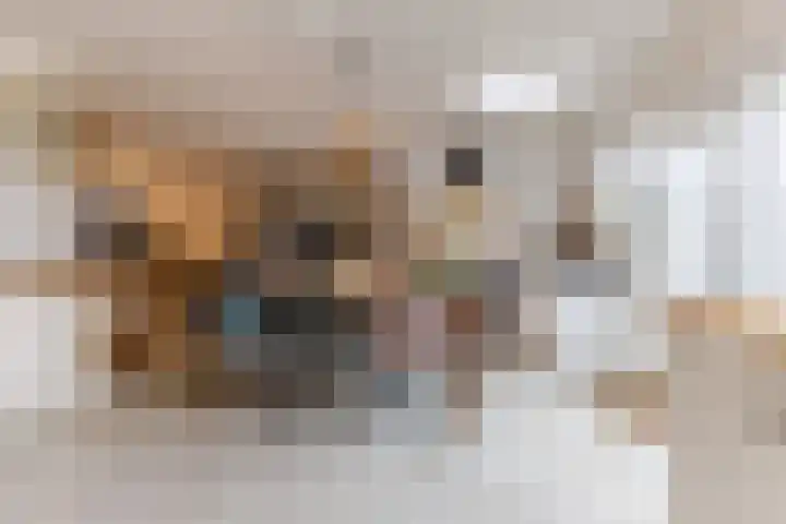 Heuvel 20 Veldhoven thumbnail 13