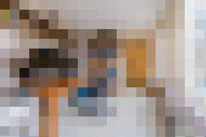 Heuvel 20 Veldhoven thumbnail 17