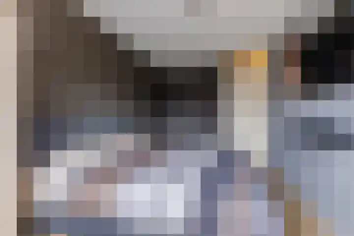 Heuvel 20 Veldhoven thumbnail 21