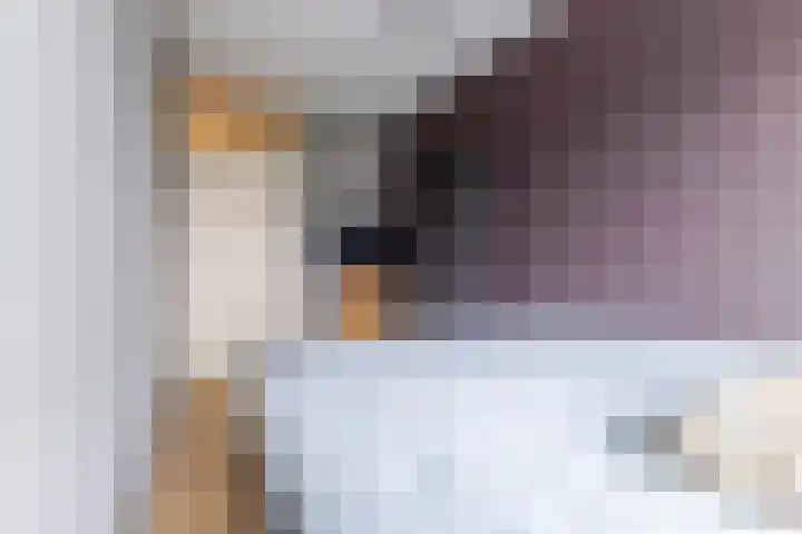 Heuvel 20 Veldhoven thumbnail 23