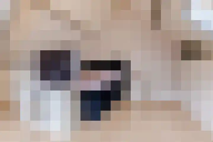 Heuvel 20 Veldhoven thumbnail 30