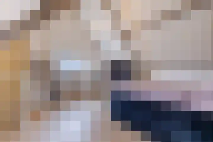 Heuvel 20 Veldhoven thumbnail 31