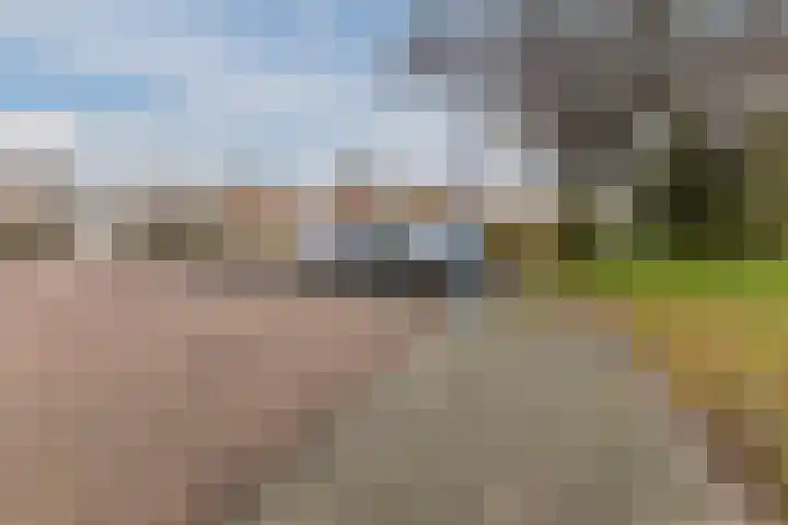 Heuvel 20 Veldhoven thumbnail 39