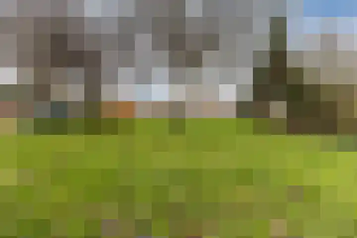 Heuvel 20 Veldhoven thumbnail 40