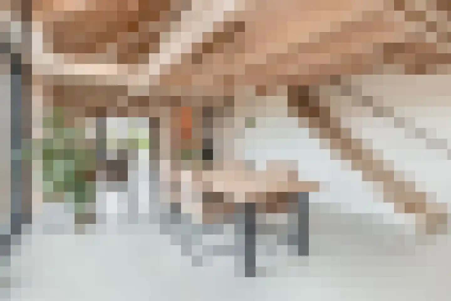 Heuvel 22 G Veghel thumbnail 11