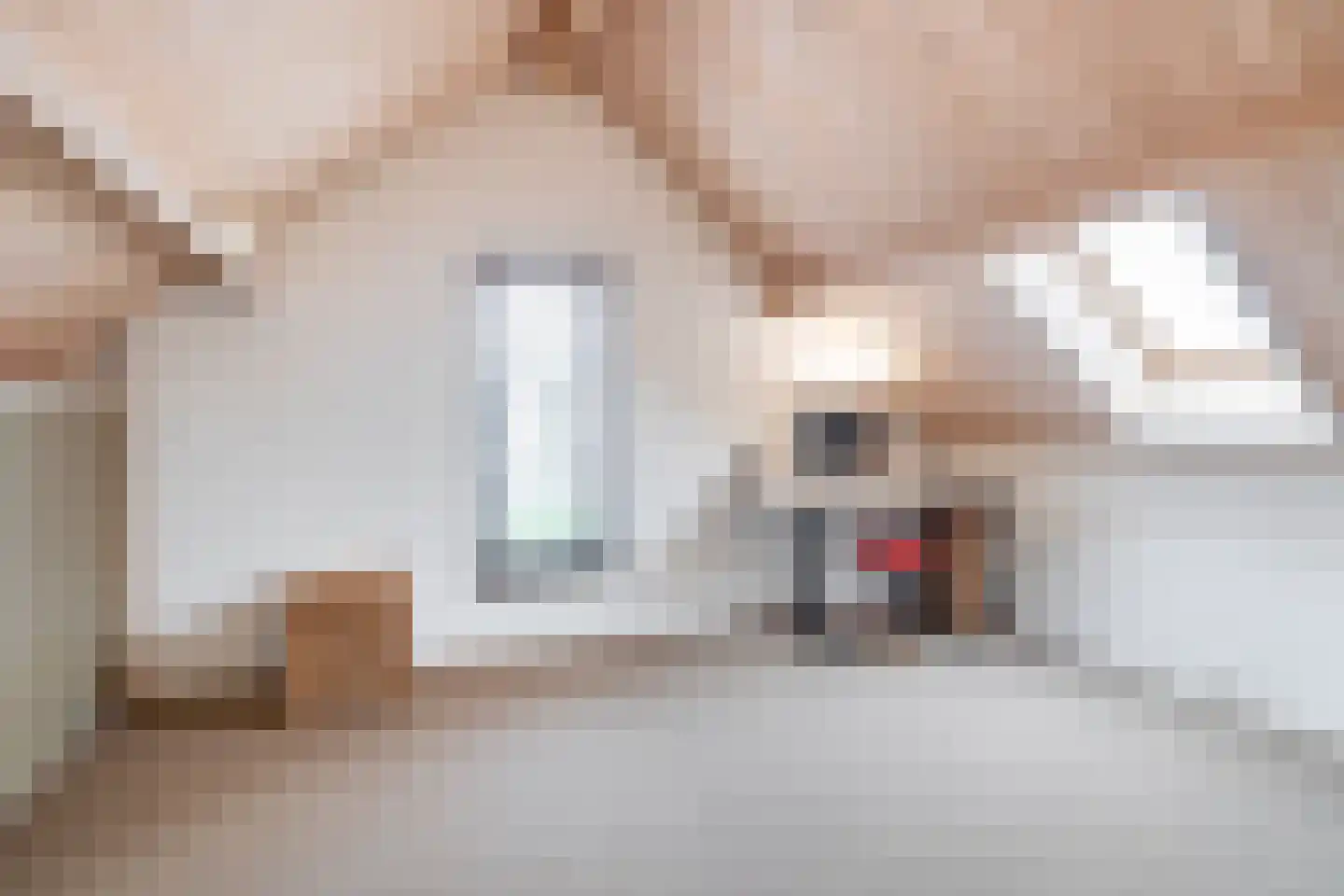 Heuvel 22 G Veghel thumbnail 31