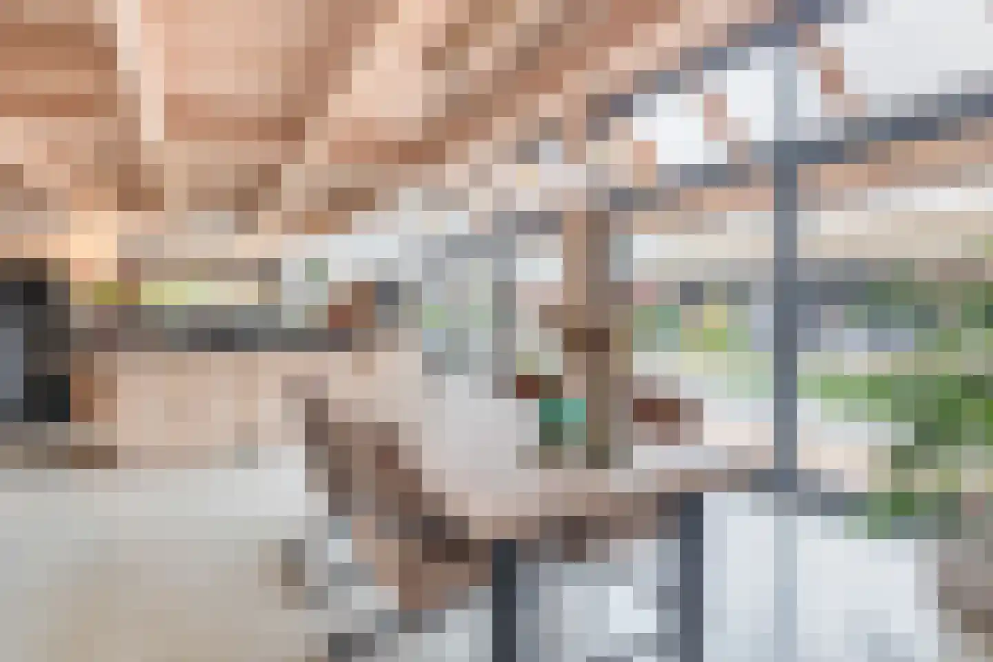 Heuvel 22 G Veghel thumbnail 4