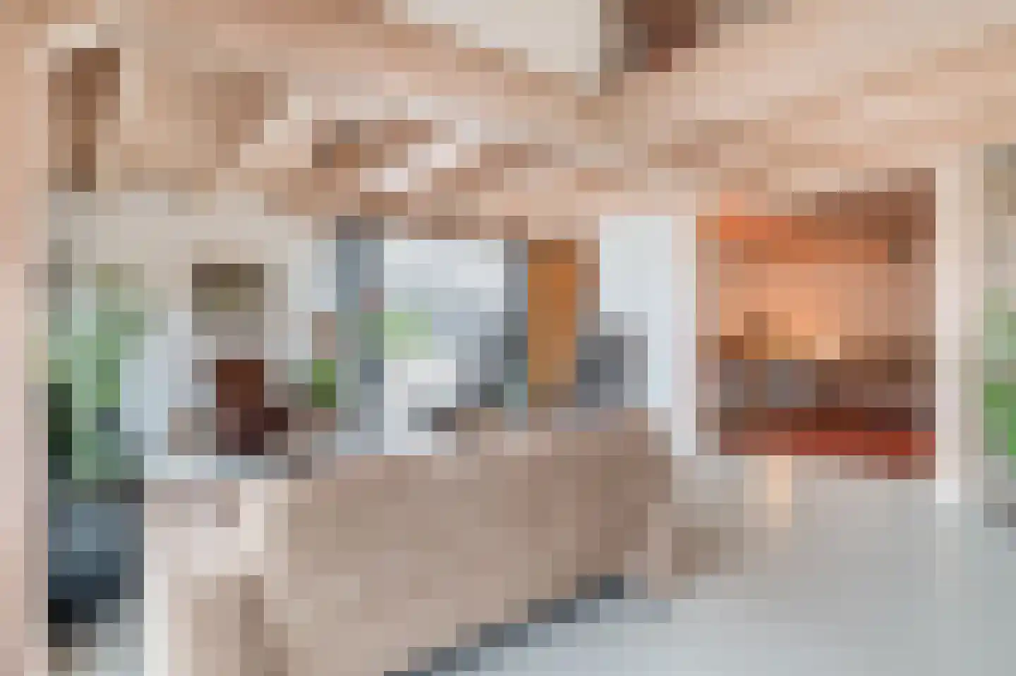 Heuvel 22 G Veghel thumbnail 8