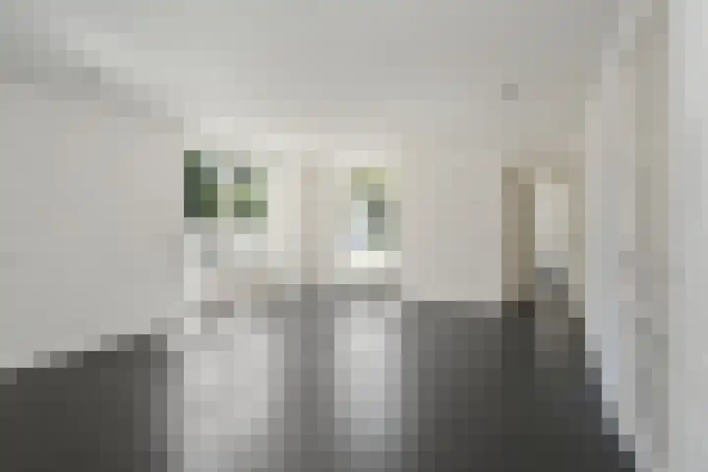 Heuvel 22 Geldrop thumbnail 20
