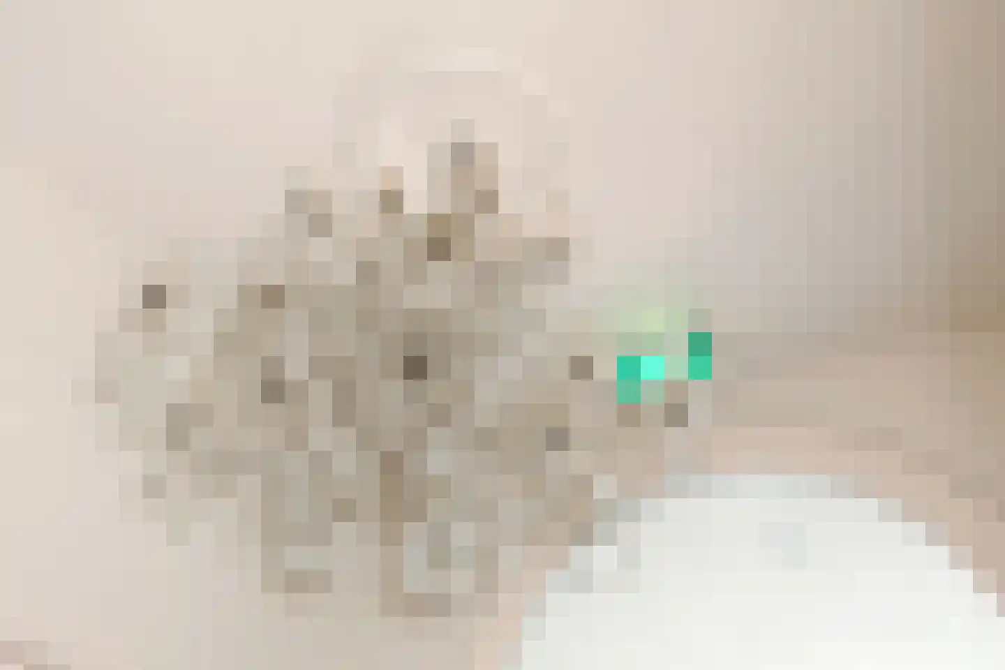 Heuvel 22 Geldrop thumbnail 9