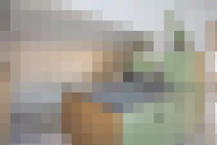 Heuvel 23 Hoogeloon thumbnail 15