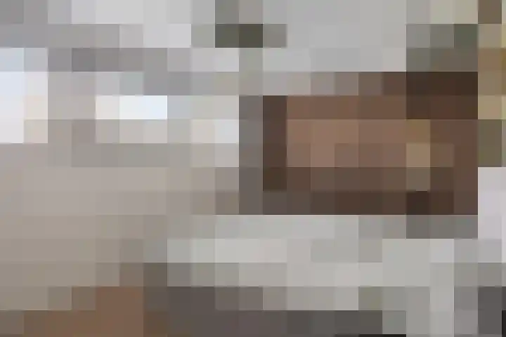 Heuvel 23 Hoogeloon thumbnail 27