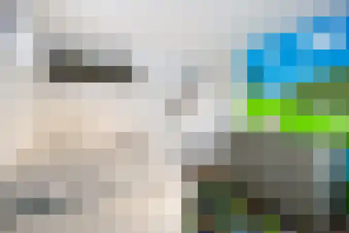 Heuvel 23 Hoogeloon thumbnail 29
