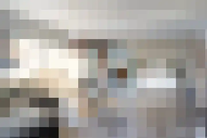 Heuvel 23 Hoogeloon thumbnail 8