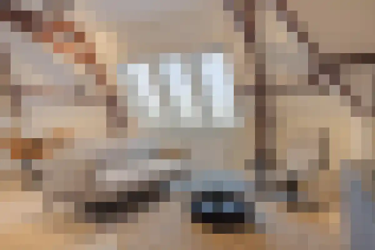 Heuvel 23 Sint-Oedenrode thumbnail 5