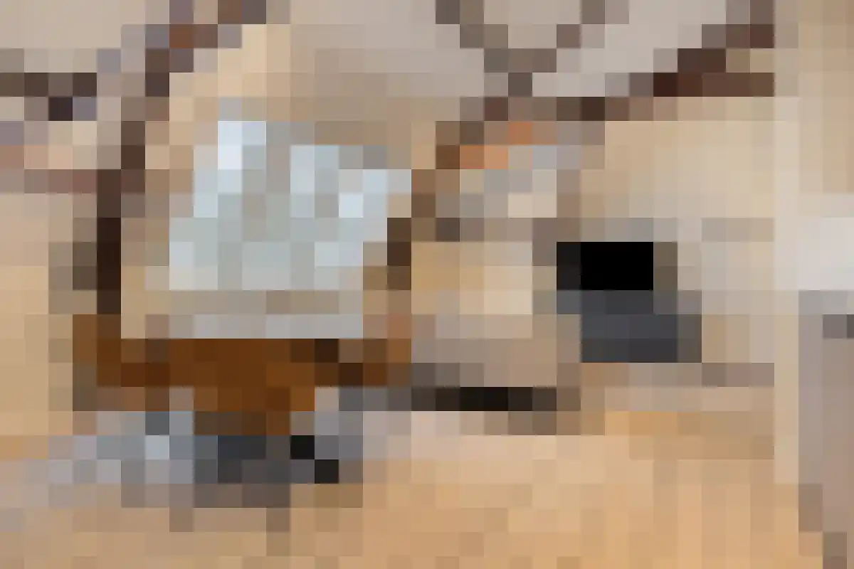 Heuvel 23 Sint-Oedenrode thumbnail 6