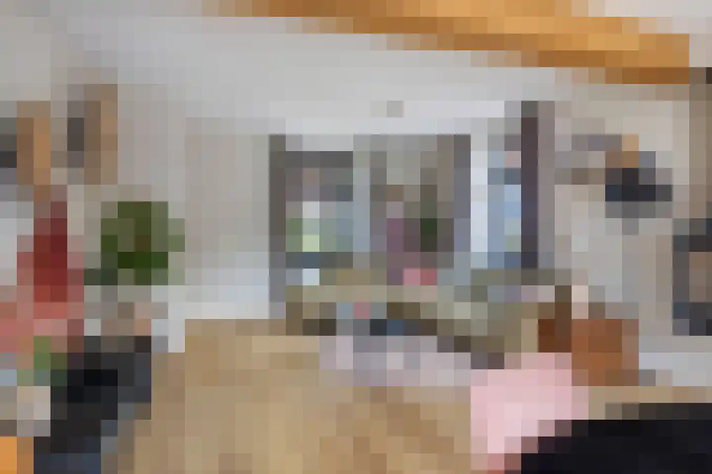 Heuvel 26 Meijel thumbnail 13