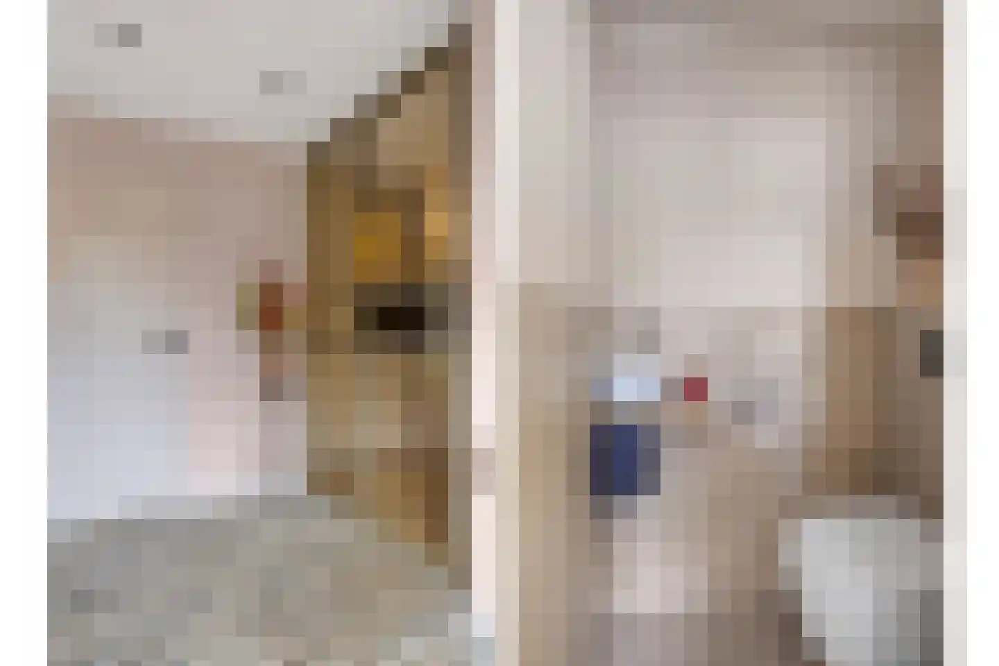 Heuvel 26 Meijel thumbnail 23