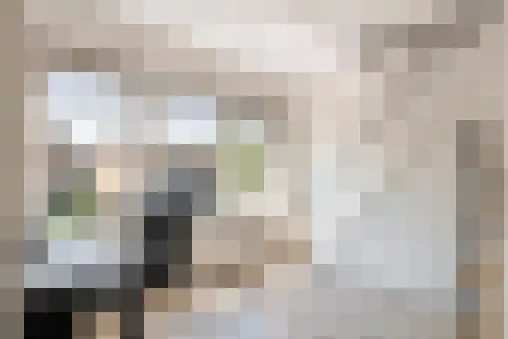 Heuvel 27 Druten thumbnail 22
