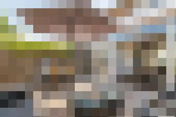 Heuvel 27 Druten thumbnail 30