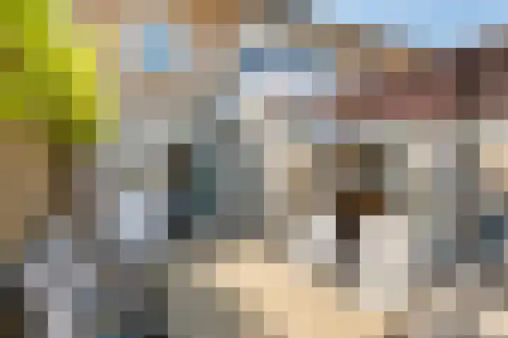 Heuvel 27 Druten thumbnail 31