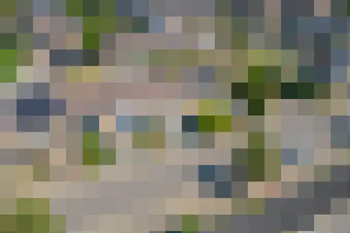 Heuvel 27 Druten thumbnail 36