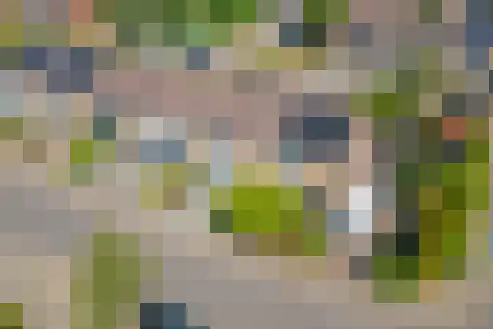 Heuvel 27 Druten thumbnail 37