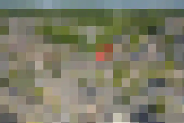 Heuvel 27 Druten thumbnail 38