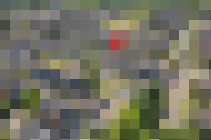 Heuvel 27 Druten thumbnail 39